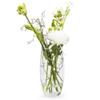 Amaryllis 12" Glass Bullet Vase view 2