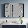 WELLFOR 44" X 30" LED Mirrored Bathroom Cabinet with Black Side Cabinet, Bathroom Mirrored Cabinet with Defog Mirror, Recessed or Surface, Left Opening Door, Adjustable Lighting, with USB Outputs view 1