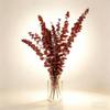 10-Pack 16" Dried Red Eucalyptus Stems | Natural Shower Hanging Bundle for Aromatherapy | Rustic Wedding & Farmhouse Decor | DIY Home Spring Bouquet view 2