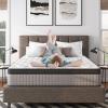 Twin Size Mattress, 10 Inch Gel Memory Foam and Innerspring Hybrid Mattress in a Box with Individual Pocket Spring for Motion Isolation & Pressure Relief, CertiPUR-US, Medium Firm (10 Inch, Twin) view 1