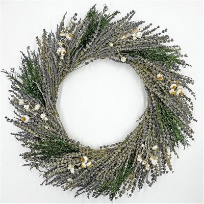 Bergamo Art Preserved Decorative Real Lavender Wreaths in Purple