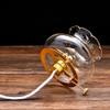 Kerosene Lamp, Lotus Exquisite Oil Lamp Environmental Friendly Kerosene Lamp Alloy Free Everlasting Oil Lamp Ghee Home Glass Windproof Desk Lamp for Study Office Bedroom view 3