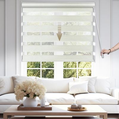 HOTSOON Zebra Blinds for Windows, Easy to Operate-Install,Automatic Descending Function,Blackout-Filtered Light Control,Durable Safe for Office-Home Roller Shades,Beige,66" W x 56" H