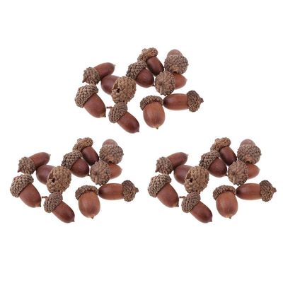 30 Pcs Natural Dried Acorn, Small Acorns Ornaments Vase Fillers for DIY Crafts, Christmas Thanksgiving Decorative House Fall Winter Holiday Home Decor
