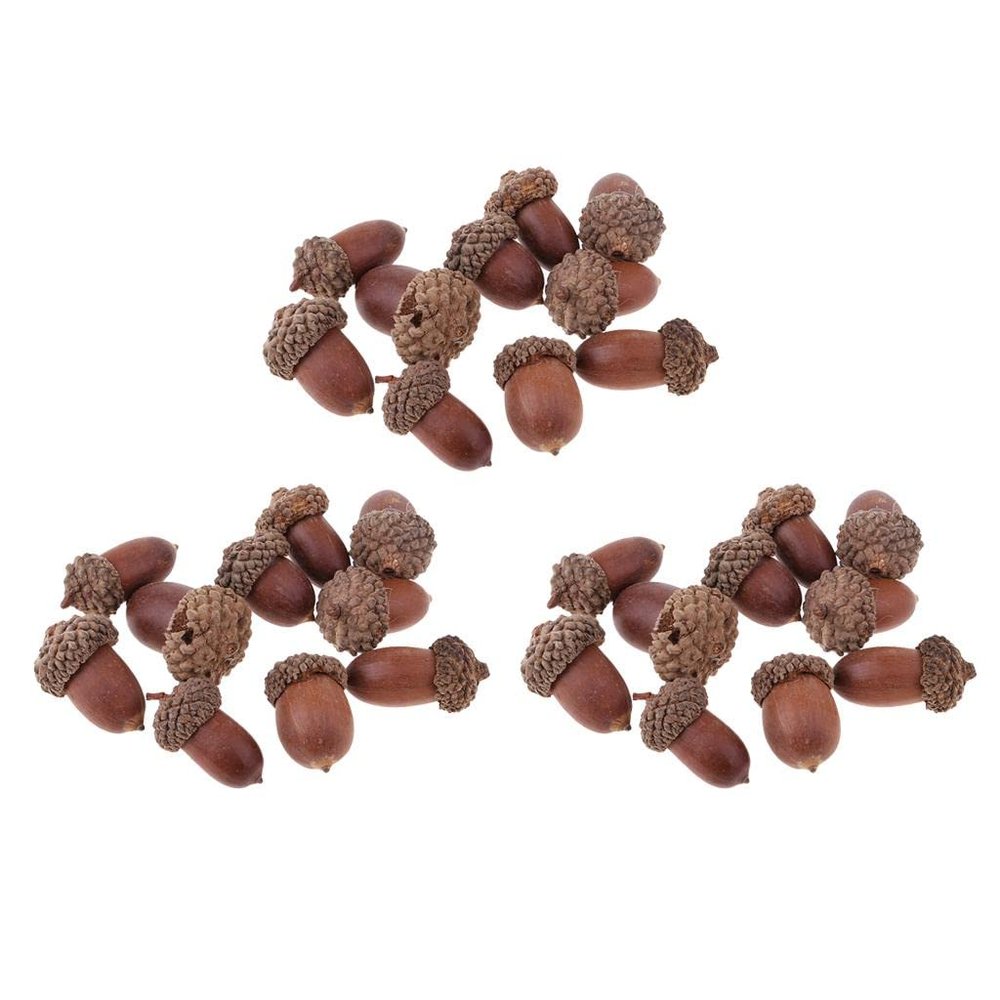 30 Pcs Natural Dried Acorn, Small Acorns Ornaments Vase Fillers for DIY Crafts, Christmas Thanksgiving Decorative House Fall Winter Holiday Home Decor