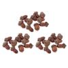 30 Pcs Natural Dried Acorn, Small Acorns Ornaments Vase Fillers for DIY Crafts, Christmas Thanksgiving Decorative House Fall Winter Holiday Home Decor view 1