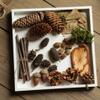 30 Pcs Natural Dried Acorn, Small Acorns Ornaments Vase Fillers for DIY Crafts, Christmas Thanksgiving Decorative House Fall Winter Holiday Home Decor view 3