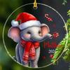 Baby Elephant Christmas Ornaments Gift For New Baby New Dad Mom, Personalized Name Elephants Lover Acrylic Ornament, Elephants Ornament Custom Gifts For Christmas 2026, Elephant In Santa Hat Ornaments view 1
