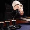 TLTDSMY Japanese Sake Cup Set Sake 8-Piece Set with Sake Warm Cup, Sake Pot, Sake Cup,Warm Stoves and Trays for Home,White view 3