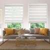Changshade Cordless Zebra Blinds for Windows, Modern Dual Layer Zebra Blinds with Light Filtering & Privacy Control,Easy Install Zebra Blinds for Indoor Windows,47" W72" H,Beige view 1