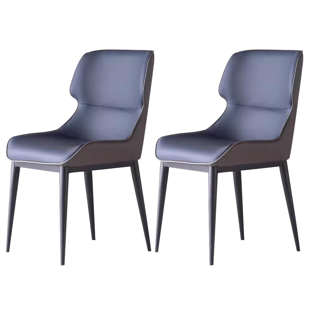 Classic Iron Metal Dining Chair Set of 2, Curved Backrest Kitchen Chairs with Waterproof Surface, Indoor/Outdoor for Kitchen and Living Room