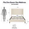 NTYUNRR Upholstered Bed Frame Queen Size, 54" Tall Headboard Wingback Upholstered Platform Bed Frame for Kids Teens Adults Bedroom Strong Wood Slats Support/No Box Spring Needed/Easy Assembly, Beige view 2