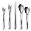 Danialli Matte Silverware Set, 18/10 Stainless Steel Satin Flatware, Modern Brushed Finish Cutlery, Dishwasher Safe & Durable, Built to Last (40-Piece, Marettimo) view 1