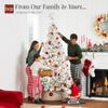 Best Choice Products Pre-Lit White Christmas Tree, 9ft Artificial Snow Flocked Full Fir Tree, Holiday Decoration w/ 900 Lights, 2,094 Branch Tips view 4