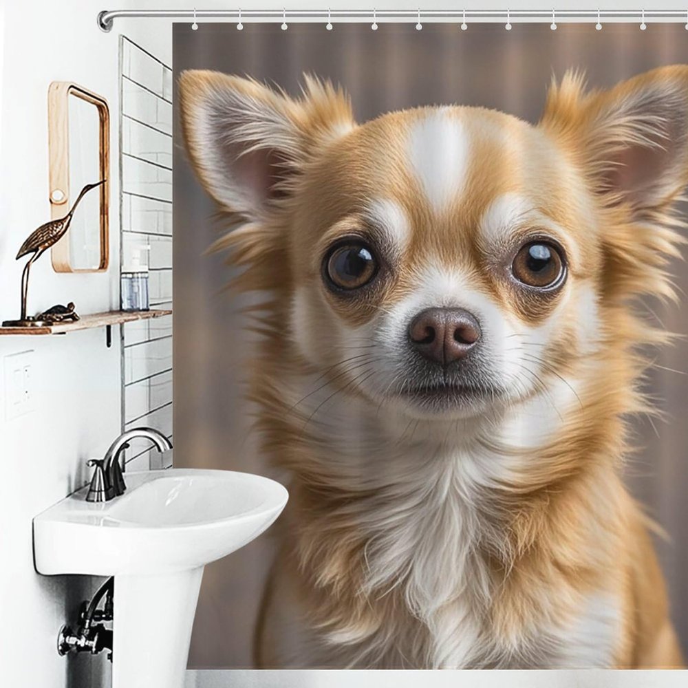 BTCOWZRV Cute Chihuahua Shower Curtain Winter Waterproof Bath Curtain Washable Cloth Shower Curtain Set Modern Minimalist Home Bathroom Curtain Decor with 12 Hooks 60x72 Inches
