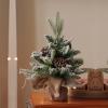2pcs Mini Christmas Tree with Light Decoration and Gift, Table Top Christmas Tree, with Wooden Base for Christmas Decorations view 4