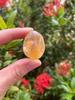 GAF TREASURES Wholesale Citrine Tumbled Stones, Polished Citrine Gemstone, Citrine Polished Rocks (Citrine, 3 Pound) view 4