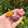 GAF TREASURES Wholesale Mookaite Tumbled Stones, Polished Mookaite Gemstone, Mookaite Polished Rocks (Mookaite, 5 Pound) view 3