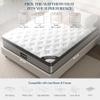 Anwick 12" Twin Mattress, Diamond Hybrid Mattress in a Box & Memory Foam Mattress with Cooling Gel Memory, Pressure Relief, Motion Isolation, Medium Firm Mattress (12" Twin) view 2