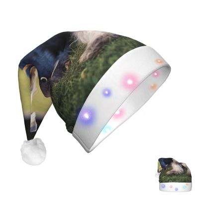 WEIHAKO Santa Hat Light Up Christmas Hat for Adults Soft Plush Xmas Hats Adult Schnauzer Dogs Santa Hat
