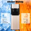 5 Gallon Bottom Loading Water Dispenser, Hot Cold Water Dispenser for 5 Gallon Bottle, Practiacal Freestanding Water Cooler Dispenser Bottom Load for HomeOfficeDormitory (Gold) view 2