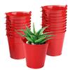 Biugaaufai 18 Pack 4 Inch Red Mini Metal Bucket, Elegant Galvanized Buckets with Handles, Tin Buckets, Small Iron Bucket, Mini Metal Pail for Party Favors, Crafts, Garden & Beach view 1