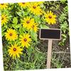 SECFOU 60pcs DIY Mini Wooden Blackboard Signs Garden Plant Labels Stick Chalkboard Decor for Garden Home view 3