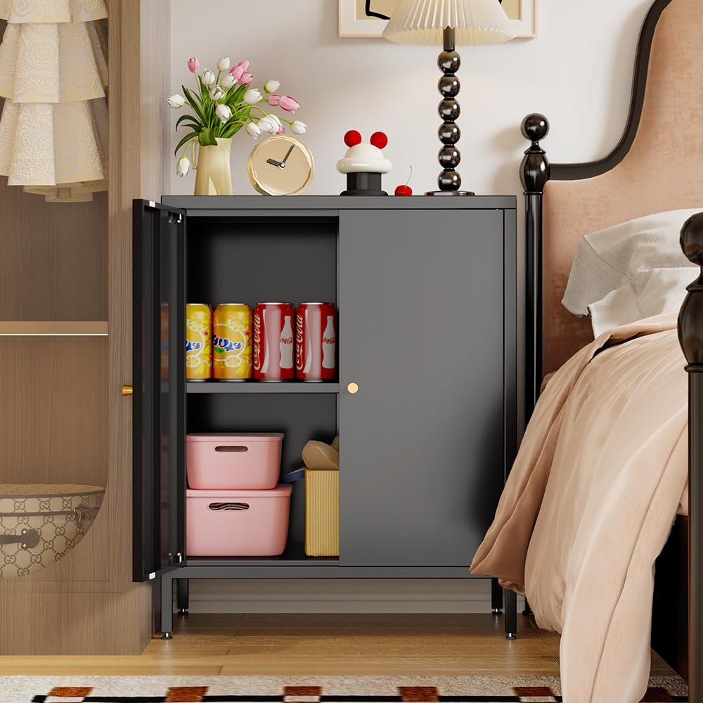 ZHISLUCK 2 Door Metal Accent Storage Cabinet-Locker Cabinet for Office Room,Garage-Metal Storage Cabinet with 1 Adjustable Shelves (Black)