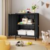 ZHISLUCK 2 Door Metal Accent Storage Cabinet-Locker Cabinet for Office Room,Garage-Metal Storage Cabinet with 1 Adjustable Shelves (Black) view 2