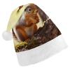 LPSBVNM Adult Christmas Hat,Funny Squirrel Printed Unisex Santa Hat New Year Holiday Decoration Hats for Christmas Festive Holiday Party Supplies view 1