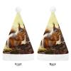 LPSBVNM Adult Christmas Hat,Funny Squirrel Printed Unisex Santa Hat New Year Holiday Decoration Hats for Christmas Festive Holiday Party Supplies view 3