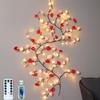 BomKra Rose LED Tree Branch Lights for Wall, Rose Flower Willow Vine Twig Decor Garland with 72 LED Lights and Remote,8 Lighting Modes,Christmas Decorations Indoor for Home Wall Door Window (63inch) view 1