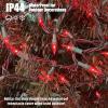 HISHINY Christmas Lights 100 Count Red Christmas Tree String Lights with Green Wire for Outdoor Indoor Christmas Decorations Wedding Decorations Valentines Day Decor,UL Certified (21feet) view 3