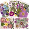100 Pcs Dried Pressed Flowers for Resin, Pressed Dry Flowers Kit for Scrapbooking Art Crafts, Resin Jewelry, Resin Phone Cases, Candle, Soap Making, Wedding Invitations (Type 2) view 1