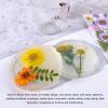 100 Pcs Dried Pressed Flowers for Resin, Pressed Dry Flowers Kit for Scrapbooking Art Crafts, Resin Jewelry, Resin Phone Cases, Candle, Soap Making, Wedding Invitations (Type 2) view 2