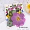 100 Pcs Dried Pressed Flowers for Resin, Pressed Dry Flowers Kit for Scrapbooking Art Crafts, Resin Jewelry, Resin Phone Cases, Candle, Soap Making, Wedding Invitations (Type 2) view 4