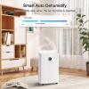 70-80 Pint Max Dehumidifier for Home, 1.45 Gallon Tank, Auto Drain or Manual, 6,000 sq. ft. view 4