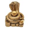 Fengshuibringluck Chinese Zodiac Snake Resin Statue Fortune and Luck Amulet Decoration Figurine view 3