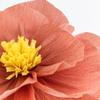 10pcs Paper FlowerArtificial Wall Decor 7.8 Inch Crepe Paper Flowers Decoration for Wall Wedding Birthday Party Flower Backdrop, Red view 3