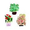 3Pcs Acrylic Double-Sided Pattern Refrigerator Magnets - Green Plant Design (Basin Cutting) view 1