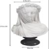 LFMDZC White Resin Art Deco Sculpture, Greek Goddess Bust Statue Home Decorations for Art Collection Ornament Bookshelves view 2