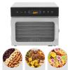 Food-Dehydrator Machine 6 Stainless Steel Trays, Small Jerky Dehydrator, 190F Mushroom Dehydrator, Meat dehydrator for Herbs Veggies, Dog Treats view 2