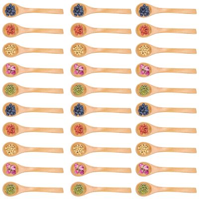 30 Pcs Mini Wooden Spoon 4.9inch Small Wooden Spoons Kitchen Condiment Tools Ice cream Sugar Honey Coffee Teaspoon