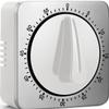 Kitchen Timers for Cooking, Chef Cooking Timer Clock with Loud Alarm,100% Mechanical Desk Timer - No Batteries Required - Magnetic Backing, Exquisite Stainless Steel Body - Countdown Reminder Magnetic view 1