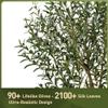 Verinatural Olive Tree Artificial Indoor 6ft - UV Resistant Large Fake Plants - Realistic Faux Olive Tree in Pot - Tall Artificial Plants Outdoor for Home, Patio, Living Room, Office Decor,VN138 view 3