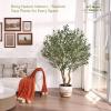 Verinatural Olive Tree Artificial Indoor 6ft - UV Resistant Large Fake Plants - Realistic Faux Olive Tree in Pot - Tall Artificial Plants Outdoor for Home, Patio, Living Room, Office Decor,VN138 view 4