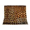 WZYWHJ Stripes on Leopards Picture Blankets Throws - Lightweight Warm Comfortable Soft Durable Home Practical Rest Outdoor view 3