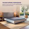 Purple Flat Foundation, Twin XL, Low 5" Box Spring Alternative view 4