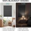 Luxevoir Panoramix No Drill No Tools Blackout Window Cover,Cordless Honeycomb Blinds,Window Blinds Blinds for Indoor Windows,Easy to Install Cellular Shade,Blackout Light Gray,35" W x 56" H view 3