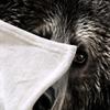 3D Bear Blanket King Size, Fleece Blanket for Couch Bed Sofa, Fierce Animal Blankets and Throws, Black Theme Super Soft Cozy Plush Flannel Blanket, 108 x 90 in, Scary Eye Cool Bear view 3